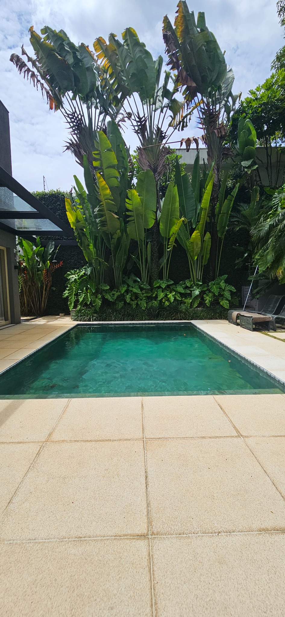 Piscina e jardim tropical — Casa Morumbi